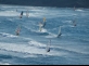 Niezawodny, równy i silny wiatr to niezawodne warunki do uprawiania windsurfingu.